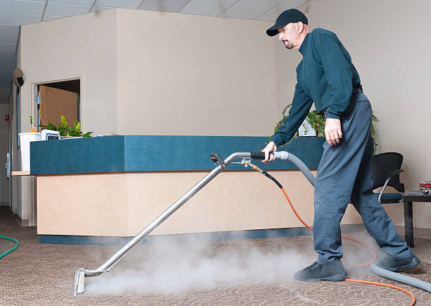 carpet cleaning services Toledo